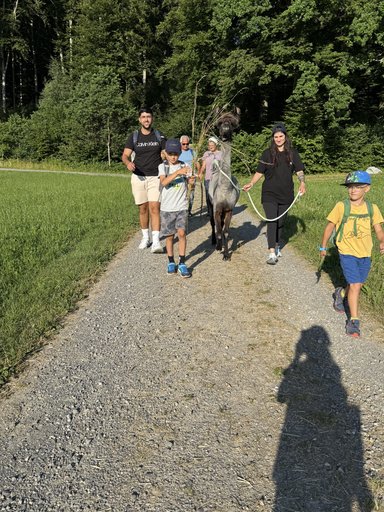 Lamatrekking