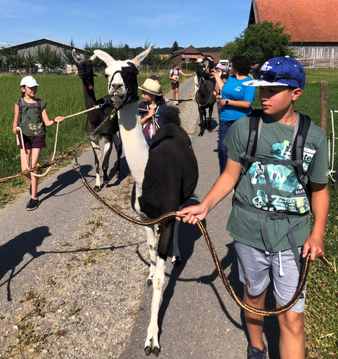 Lama Trekking